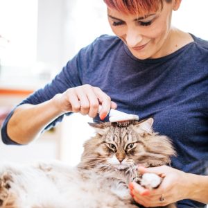 Woman brushing her cat