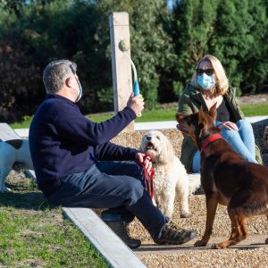 How Pets Help_Meeting People