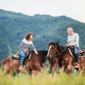 Horses make great exercise partners