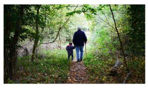 Grandfather and grandson walking in the woods