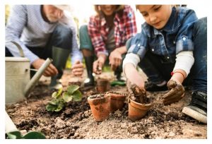 Family gardening together