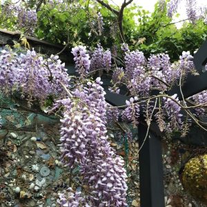 English Garden_3