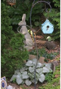 English Gardens_bunny