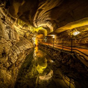 Howe Caves_Regular Tour
