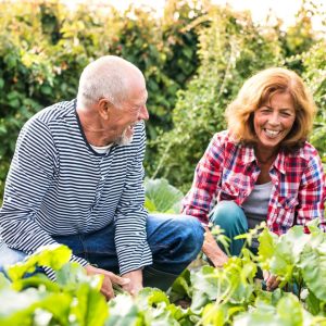 Couple laugh as they garden