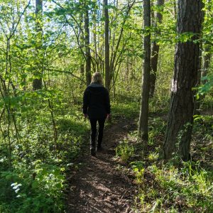 Person walking on a trail in the woods
