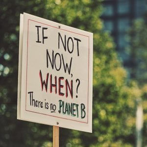 Placard reading "If not now, WHEN?"