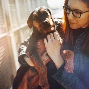 Cute dog being held