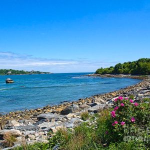 Mackerel Cove, Jamestown Rhode Island