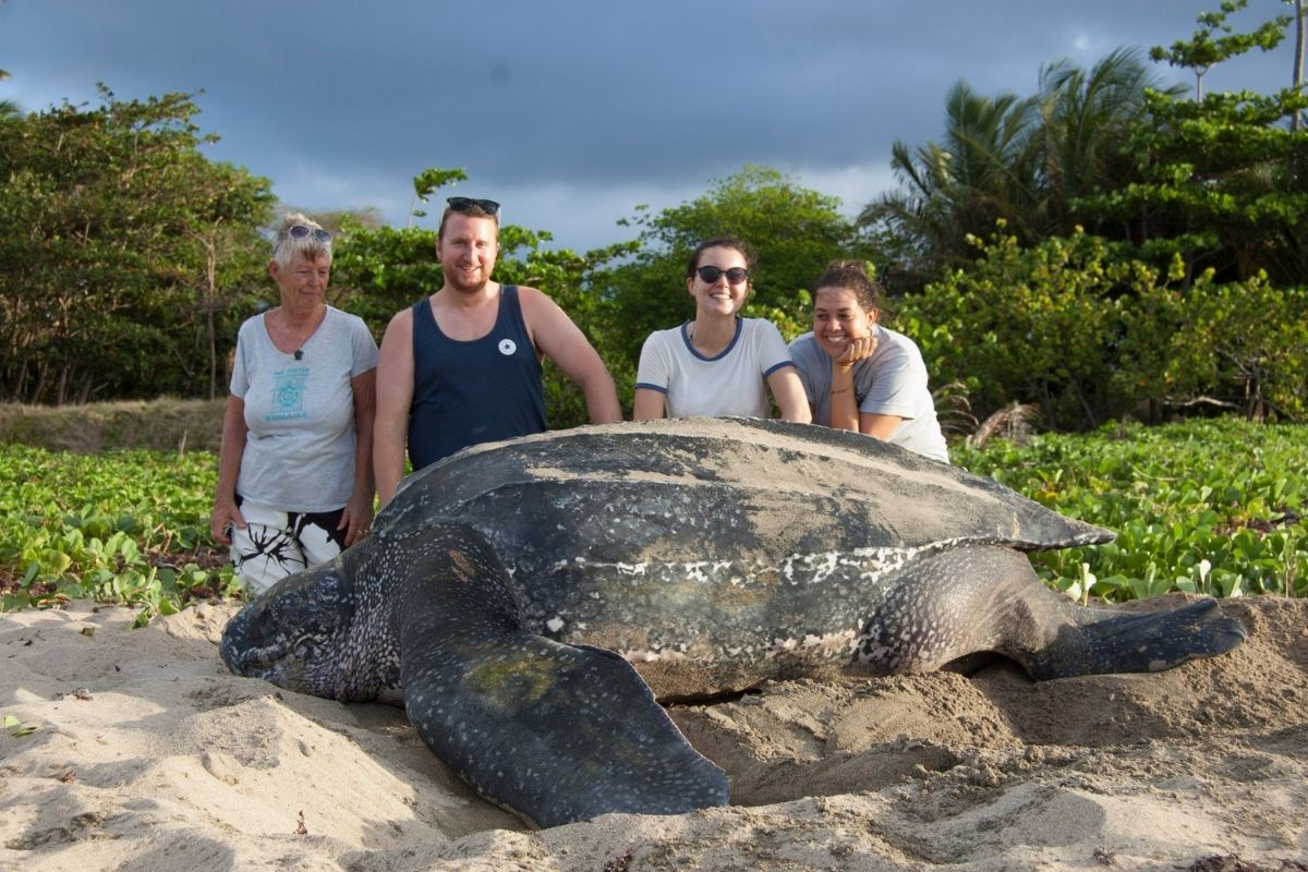 Group of travelers with sea turtle