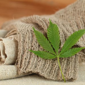 What is Hemp?