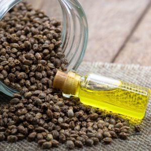 Hemp Seeds