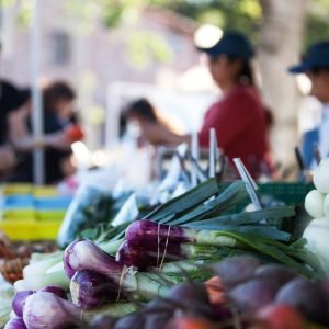 Close-up of veggies at Farmer's Market