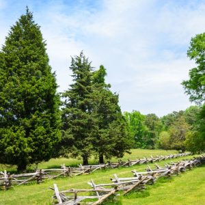 Fencing at Yorktown Battlefield