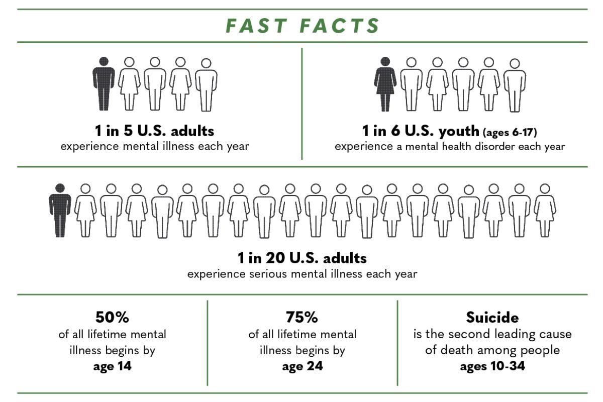 Fast facts infographic