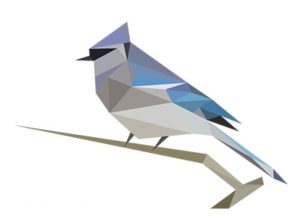 Digitized bluejay on a branch in front of white background