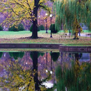 Boston Commons in the fall; image of foliage reflecting in the Frog Pond