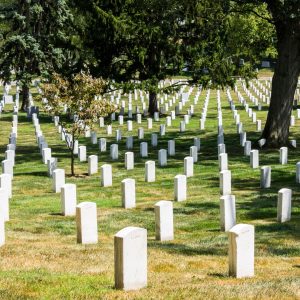 Gravestones in neat straight lines go off into the distance, with green grass and trees