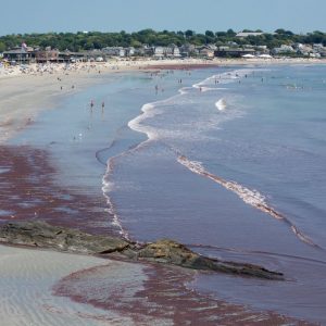panoramic view of First Beach in newport