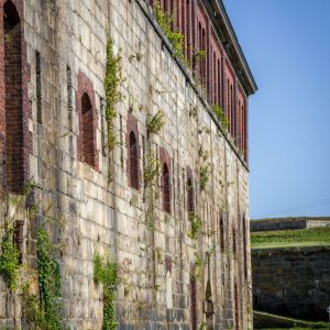 vines climb up old mortar work in Fort Adams