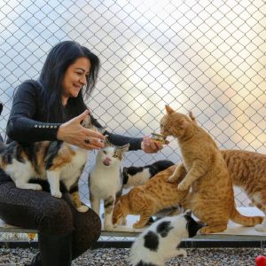 Woman smiles as she cares for seven cats