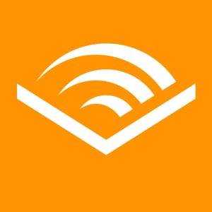 A white graphic of a wide "v" shape with three arced lines in the center on an orange background represents an open book with sound waves instead of pages
