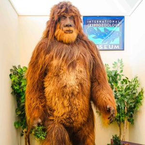 A larger-than life "taxidermy" replica of Bigfoot