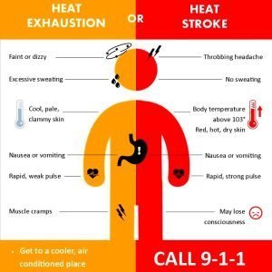 A diagram showing the difference between heat stroke and heat exhaustion