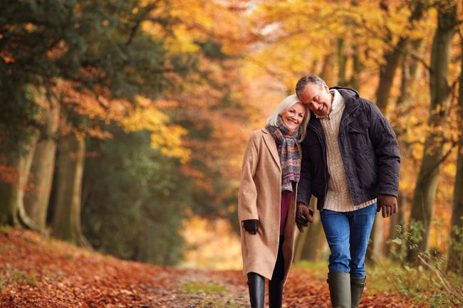 Couple walks through autumn forest, holding hands