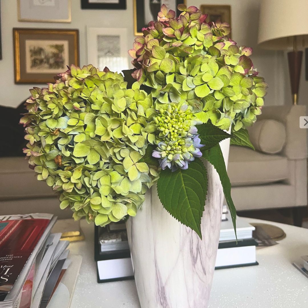 A vase of green faux hydrangeas sits perched on a coffee table.