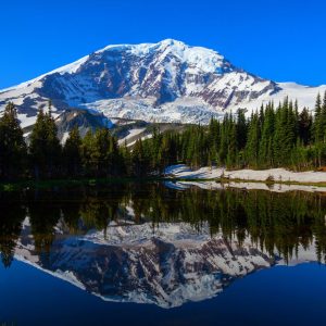 Mt. Rainier