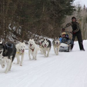 Muddy Paw Sled Dog Kennel photo of man sledding with team