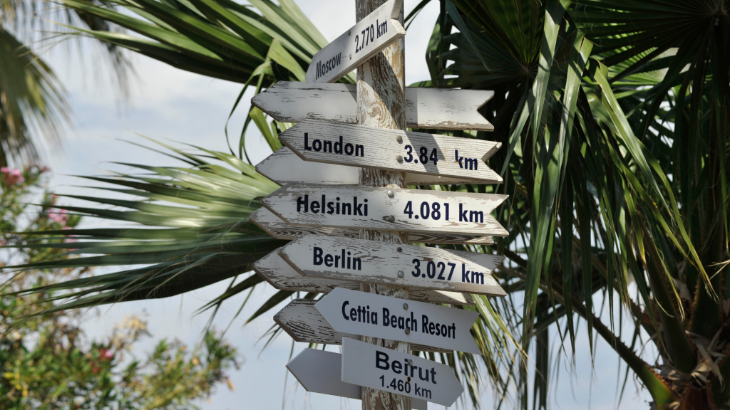 A rustic road sign with multiple placards depicting the distance to various world landmarks stands in front of a tropical palm tree.