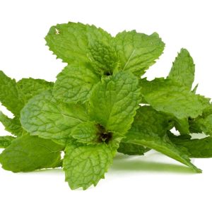 Fresh Mint leaves - photo by KenStock from pixabay