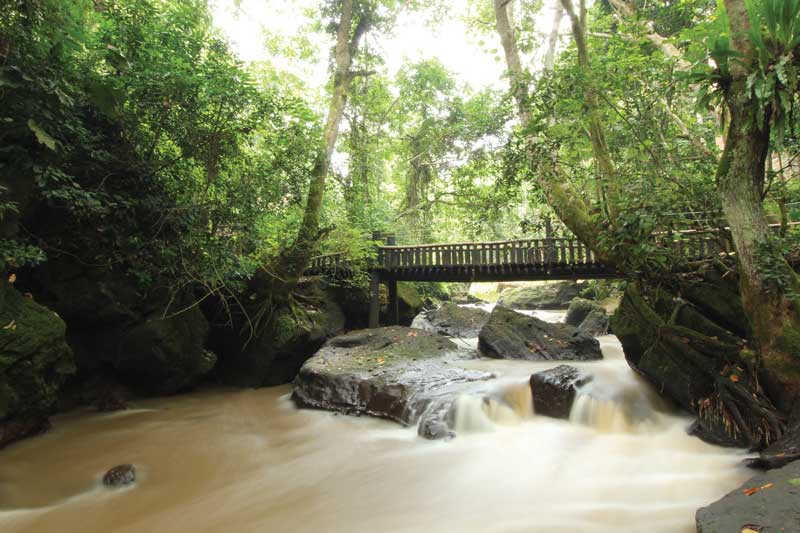 Kyambura lodge, on the edgeo f the Kyambura Gorge Sunken Rainforest