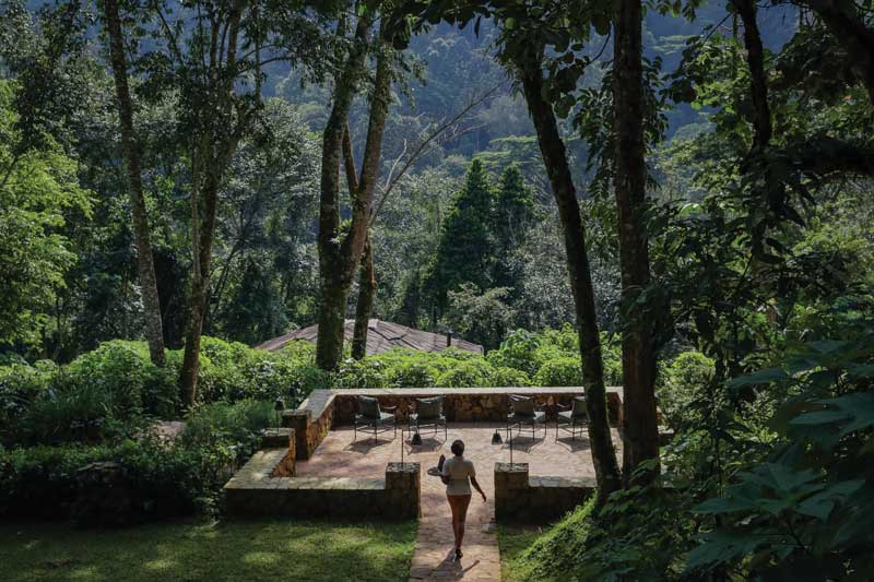 Bwindi Lodge overlooking the Forest National Park