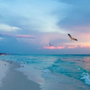 Sunset at Destin Beach with seagulls 