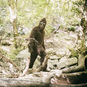 Big-Foot, courtesy of iStock