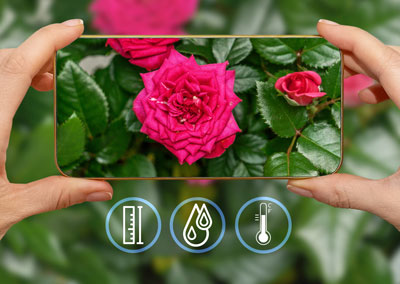 Woman's hands with phone using gardening app