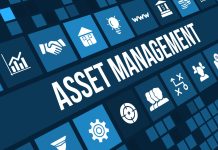 What You Need to Know About Managing Your Digital Assets Digital Asset management graphic_featured image courtesy of Ahmetov Ruslan via Canva