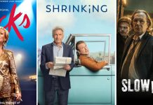 More Binge-worthy TV Shows Starring Actors Over 50 Actors over 50 montage of show posters _ bingeable shows with actors over 50 featured image